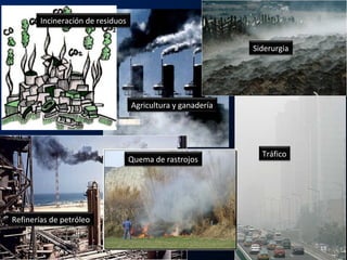 Incineración de residuos
Siderurgia
Tráfico
Quema de rastrojos
Refinerías de petróleo
Agricultura y ganadería
13
 