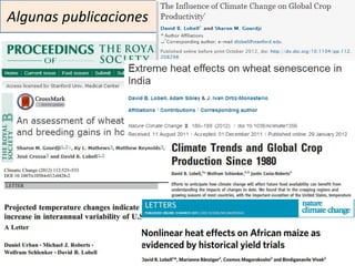 Impactos cambio clima_en_productividad_cultivos