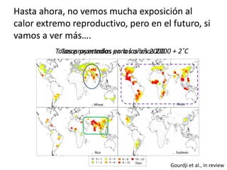 Impactos cambio clima_en_productividad_cultivos