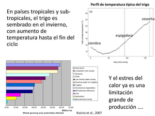 Impactos cambio clima_en_productividad_cultivos