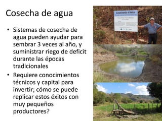 Impactos cambio clima_en_productividad_cultivos