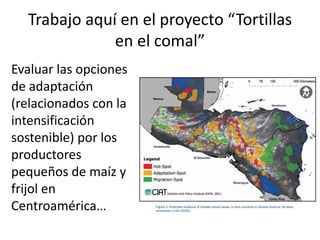 Impactos cambio clima_en_productividad_cultivos