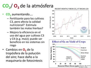 Impactos cambio clima_en_productividad_cultivos
