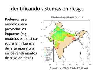 Los impactos del cambio de clima en la productividad de cultivos, con trayectorias adaptativas por el futuro…