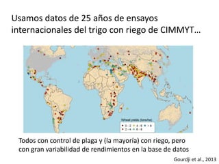 Los impactos del cambio de clima en la productividad de cultivos, con trayectorias adaptativas por el futuro…