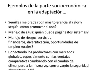 Los impactos del cambio de clima en la productividad de cultivos, con trayectorias adaptativas por el futuro…