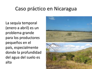 Los impactos del cambio de clima en la productividad de cultivos, con trayectorias adaptativas por el futuro…