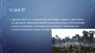 O QUE É?
• agropecuária é o conjunto das atividades ligadas à agricultura
e à pecuária. Apresenta grande importância para a humanidade
e para a economia, visto que sua produção é destinada ao
consumo humano e para a venda dos produtos obtidos.
 