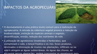IMPACTOS DA AGROPECUÁRIA
• O desmatamento é uma prática muito comum para a realização da
agropecuária. A retirada da cobertura vegetal provoca a redução da
biodiversidade, extinção de espécies animais e vegetais,
desertificação, erosão, redução dos nutrientes do solo
• a utilização de agrotóxicos (inseticidas e herbicidas), que
contaminam o solo, o lençol freático e os rios. Esses produtos,
destinados à eliminação de insetos nas plantações, infiltram-se no
solo e atingem as águas subterrâneas. As águas das chuvas, ao
 