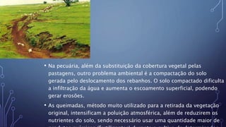 • Na pecuária, além da substituição da cobertura vegetal pelas
pastagens, outro problema ambiental é a compactação do solo
gerada pelo deslocamento dos rebanhos. O solo compactado dificulta
a infiltração da água e aumenta o escoamento superficial, podendo
gerar erosões.
• As queimadas, método muito utilizado para a retirada da vegetação
original, intensificam a poluição atmosférica, além de reduzirem os
nutrientes do solo, sendo necessário usar uma quantidade maior de
 