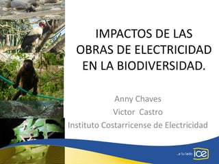 IMPACTOS DE LAS
OBRAS DE ELECTRICIDAD
EN LA BIODIVERSIDAD.
Anny Chaves
Victor Castro
Instituto Costarricense de Electricidad
 