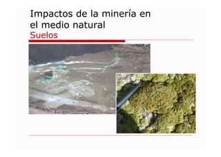 Impactos Ambientales de la Minería: Contaminación y Alteraciones ...