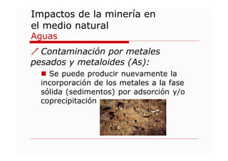 Impactos Ambientales de la Minería: Contaminación y Alteraciones ...