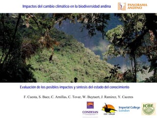 F. Cuesta, S. Baez, C. Arnillas, C. Tovar, W. Buytaert, J. Ramirez, Y. Caceres
Impactos del cambio climático en la biodiversidad andina
Evaluación de los posibles impactos y síntesis del estado del conocimiento
 