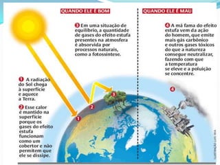 Impactos do homem sobre o meio ambiente
