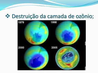 Impactos do homem sobre o meio ambiente