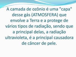 Impactos do homem sobre o meio ambiente