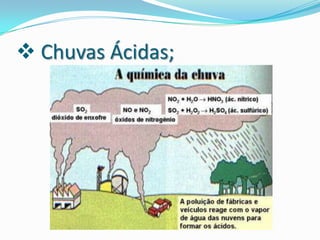 Impactos do homem sobre o meio ambiente