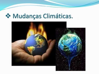 Impactos do homem sobre o meio ambiente