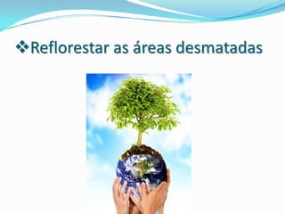 Impactos do homem sobre o meio ambiente