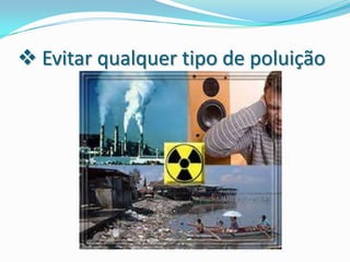 Impactos do homem sobre o meio ambiente