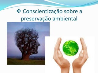 Impactos do homem sobre o meio ambiente