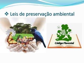 Impactos do homem sobre o meio ambiente