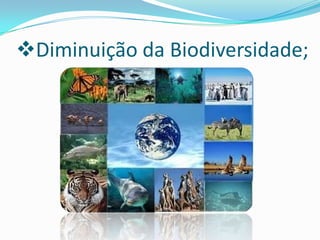 Diminuição da Biodiversidade;A biodiversidade traduz-se na riqueza natural constituída pelo conjunto de espécies vivas de uma região ou de toda a Terra. É uma das propriedades fundamentais da natureza, responsável pelo equilíbrio e estabilidade dos ecossistemas, sendo que a sua diminuição causa desequilíbrio e modifica os habitats.