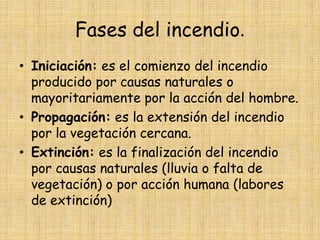 Fases del incendio.Iniciación: es el comienzo del incendio producido por causas naturales o mayoritariamente por la acción del hombre.Propagación: es la extensión del incendio por la vegetación cercana.Extinción: es la finalización del incendio por causas naturales (lluvia o falta de vegetación) o por acción humana (labores de extinción)