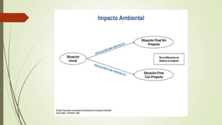 IMPACTOS EN LA EIA.pptx