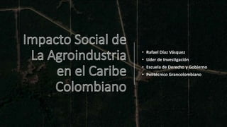 • Rafael Díaz Vásquez
• Líder de Investigación
• Escuela de Derecho y Gobierno
• Politécnico Grancolombiano
 