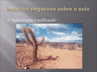 Salinização e sodização 