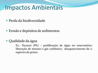 Impactos Ambientais
 Perda da biodiversidade
 Erosão e depósitos de sedimentos
 Qualidade da água
Ex.: Tucuruí (PA) – proliferação de algas no reservatório;
liberação de metano e gás carbônico; desaparecimento de 11
espécies de peixes
 