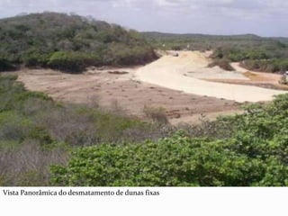 Vista Panorâmica do desmatamento de dunas fixas
 