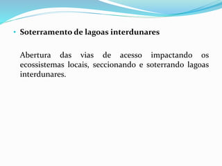 • Soterramento de lagoas interdunares
Abertura das vias de acesso impactando os
ecossistemas locais, seccionando e soterrando lagoas
interdunares.
 