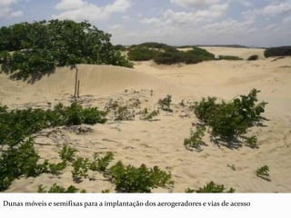 Dunas móveis e semifixas para a implantação dos aerogeradores e vias de acesso
 
