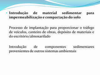 • Introdução de material sedimentar para
impermeabilização e compactação do solo
Processo de implantação para proporcionar o tráfego
de veículos, canteiro de obras, depósito de materiais e
do escritório/almoxarifado
Introdução de componentes sedimentares
provenientes de outros sistemas ambientais
 