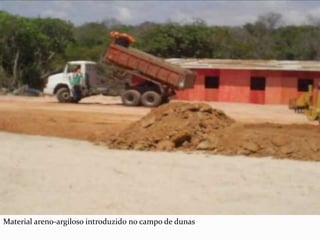 Material areno-argiloso introduzido no campo de dunas
 