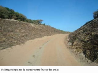 Utilização de palhas de coqueiro para fixação das areias
 
