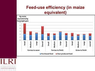 The state of smallholder-based pig industry in Vietnam: Insights from ILRI’s recent research