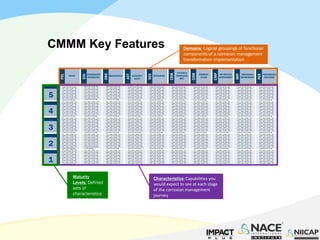 Corrosion Management | PDF