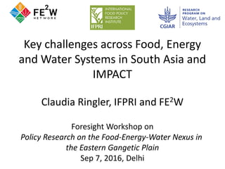 Key challenges across Food, Energy
and Water Systems in South Asia and
IMPACT
Claudia Ringler, IFPRI and FE2W
Foresight Workshop on
Policy Research on the Food-Energy-Water Nexus in
the Eastern Gangetic Plain
Sep 7, 2016, Delhi
 