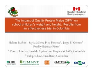 The impact of Quality Protein Maize (QPM) on
   school children’s weight and height: Results from
           an effectiveness trial in Colombia



 Helena Pachón1, Sayda Milena Pico Fonseca1, Jorge E. Gómez2 ,
                     Freddy Escobar Pinto1
1 Centro Internacional de Agricultura Tropical (CIAT), Colombia

              2 Independent consultant, Colombia
 