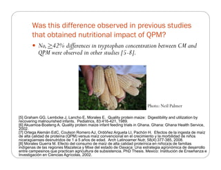 The impact of Quality Protein Maize (QPM) on school children’s weight and height: Results from an effectiveness trial in Colombia