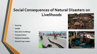 Impacts of-natural-disaster-in-tourism-and-related-livelihoods | PPTX