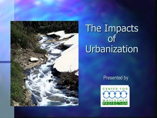 The Impacts of Urbanization Presented by 