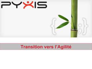 Transition vers l’Agilité 