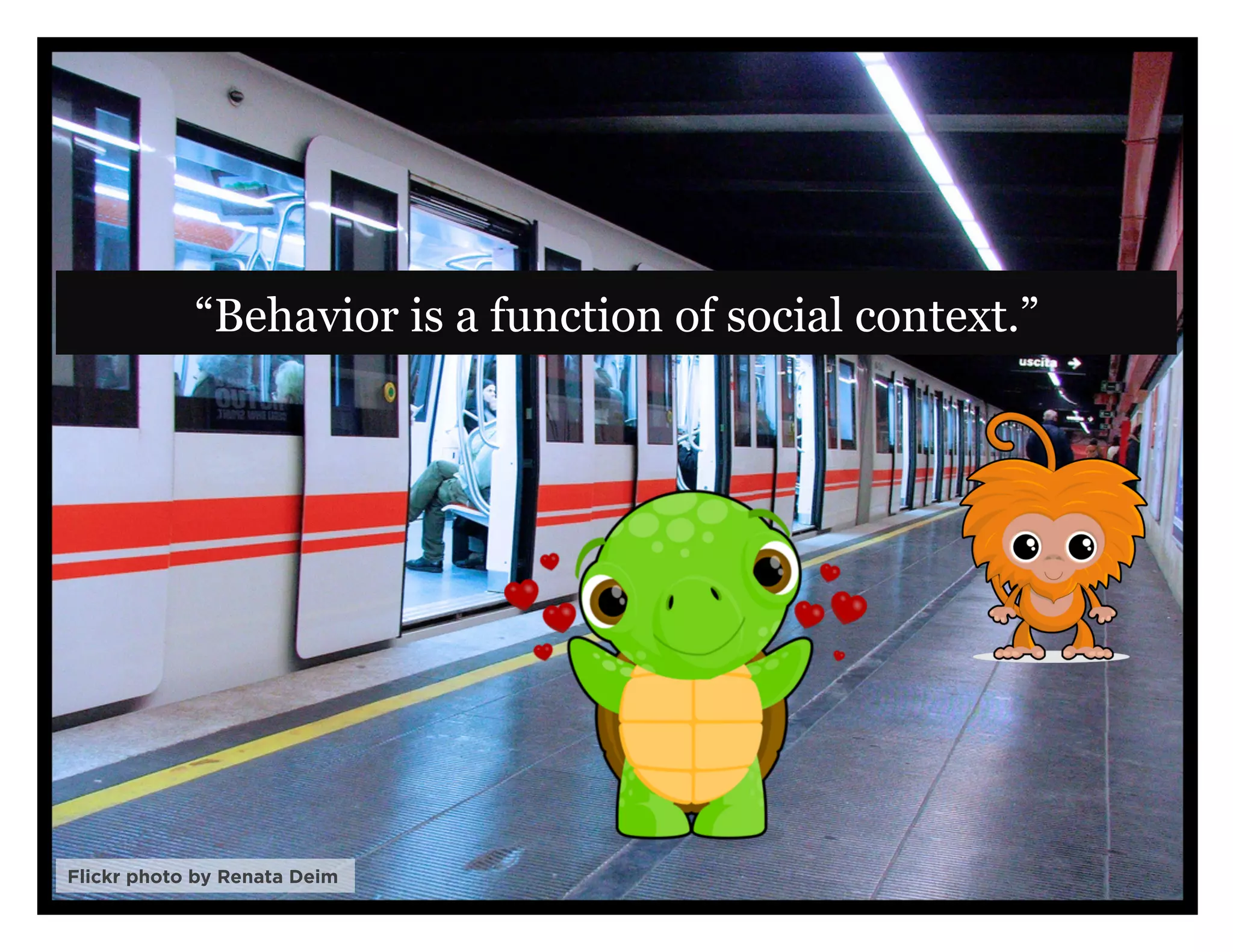 “Behavior is a function of social context.”




                                                          4
Flickr photo by Renata Deim
 