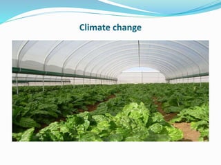 Impacts of agriculture, aquaculture on environment