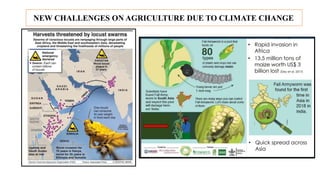IMPACTS OF CLIMATE CHANGE ON AGRICULTURE AND ALLIED.pptx